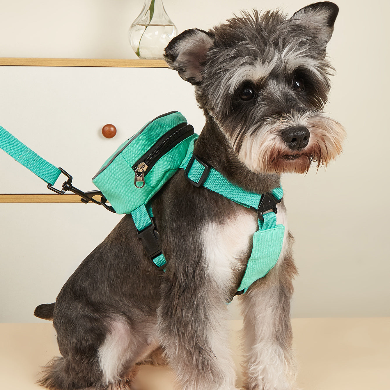 Pet Harness And Leash Set For Dog & Cat; No Pull Dog Vest Harness With Backpack; Cute Dog Leash.